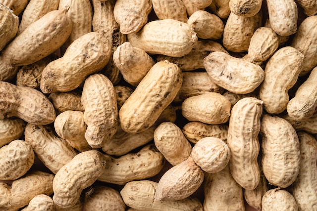 Amendoim é uma boa fonte de proteínas? A surpreendente verdade