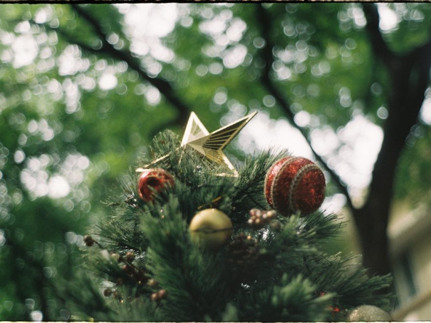 8 dicas sobre onde colocar a árvore de Natal